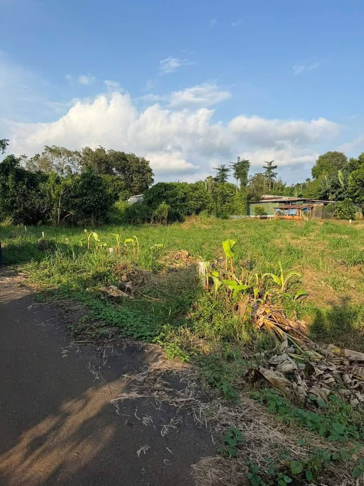 Đất nền Xà Bang, Châu Đức 160m² giá 500 triệu - Sổ đỏ chính chủ ngay mặt tiền đường!