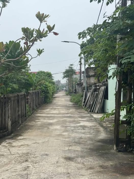 Đất nền Nghĩa Bình 246m² giá 11.7 tỷ - Vị trí trung tâm hiếm có!