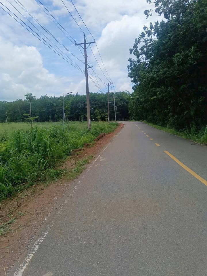 Đất nền Trừ Văn Thố 160m² giá 700 triệu - Cơ hội đầu tư hấp dẫn!