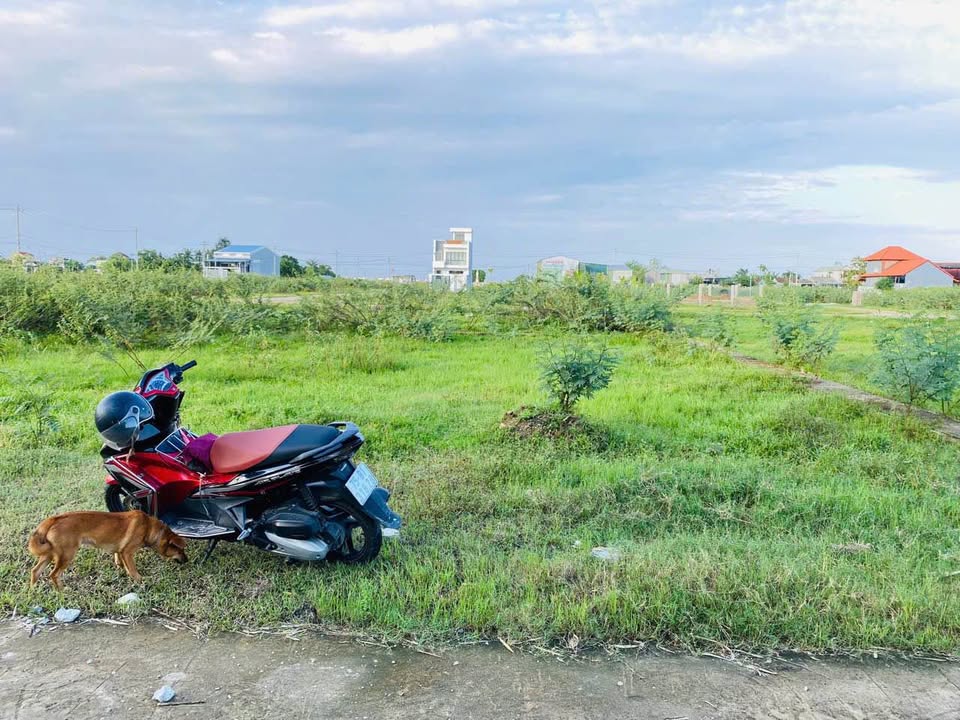 Đất nền Phước Linh - Phú Mỹ 127.5m² giá 1.8 tỷ - Mặt tiền thoáng mát gần nhà hàng Duyên Anh!