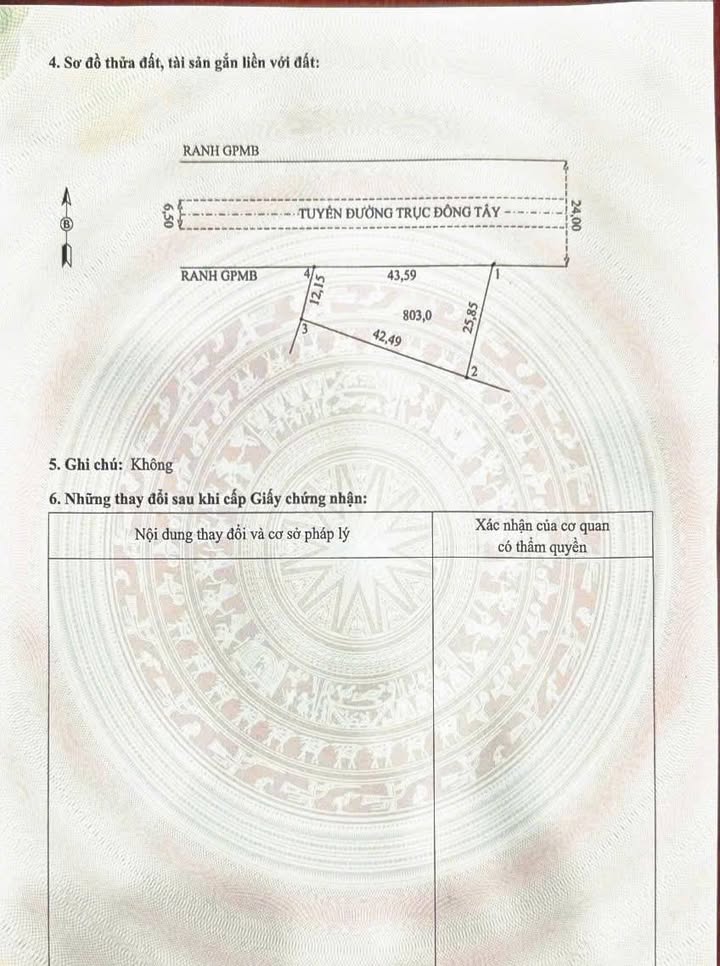 Đất nền Tân Thuận Đầm Dơi 516m² giá 989 triệu - Cơ hội đầu tư sinh lời!
