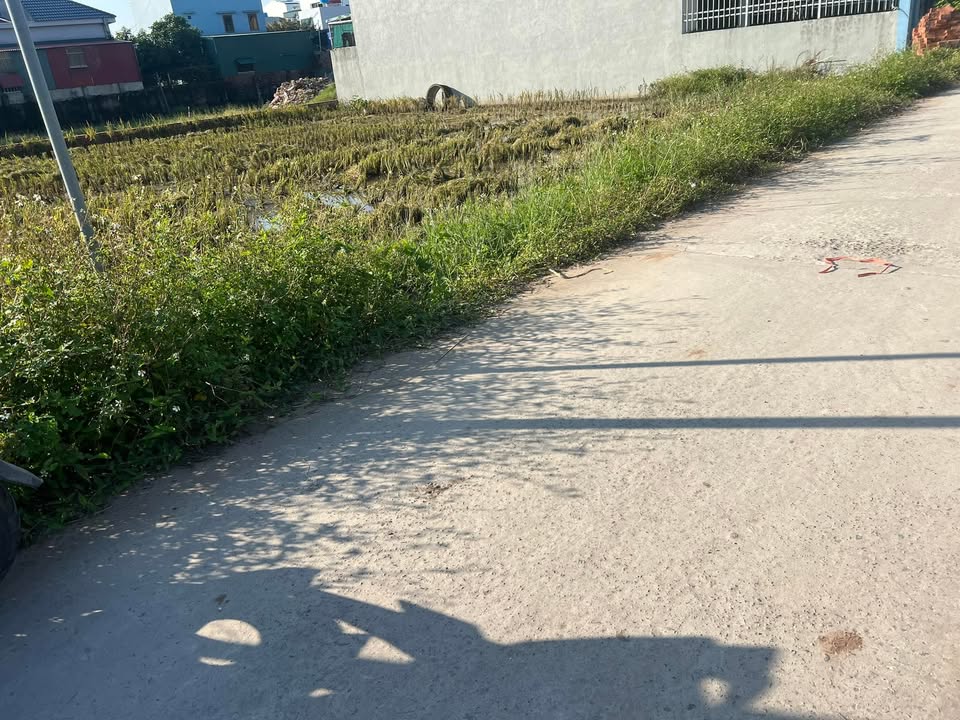 Lô đất đẹp tại Nam Thanh, Tiền Hải 100m² giá chỉ 900 triệu - Đầu tư sinh lời ngay!