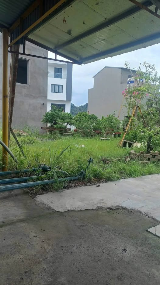 Đất nền đường 18 cũ, phường Hà Tu, Hạ Long 68m² - Cơ hội đầu tư sinh lời!