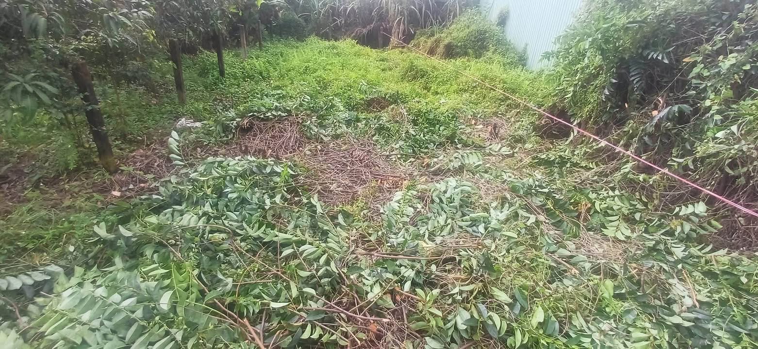 Lô đất thổ cư 110m² tại ấp An Bình, Châu Thành - Giá chỉ 380 triệu, thương lượng!