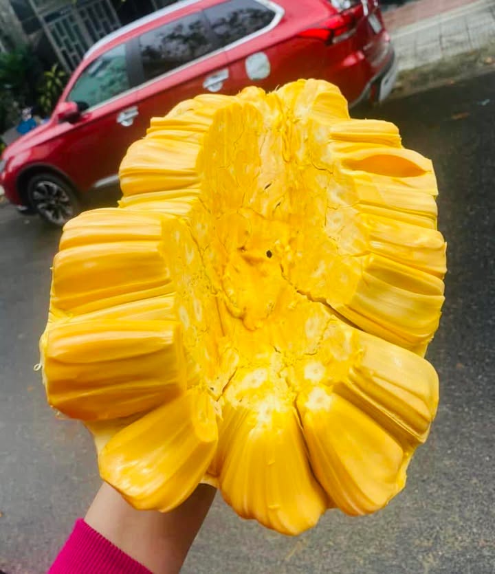 Đất nền mặt tiền Quốc lộ 50 Cần Đước 1700m² giá 18 tỷ - Cơ hội đầu tư tuyệt vời!