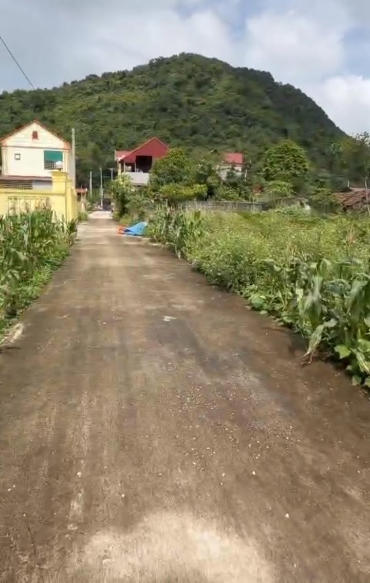 Đất nền thôn 1 Đông Sơn, Tam Điệp 85m² giá 800 triệu - Cơ hội đầu tư hấp dẫn!