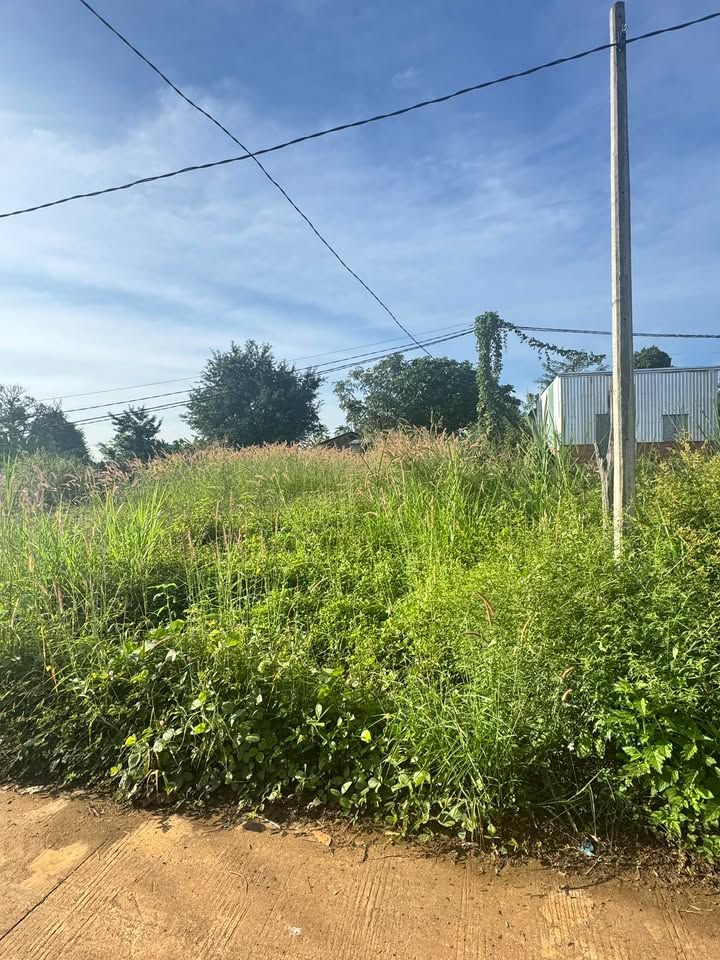 Đất nền Đắk Gằn 320m² giá 450 triệu - Đầu tư sinh lời ngay hôm nay!