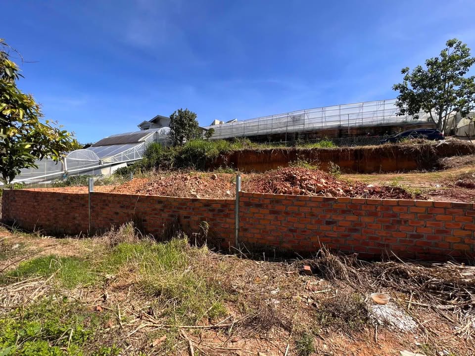 Bán lô đất Nam Hồ Đà Lạt 275m² giá 7.8 tỷ - View đẹp, phù hợp xây villa!