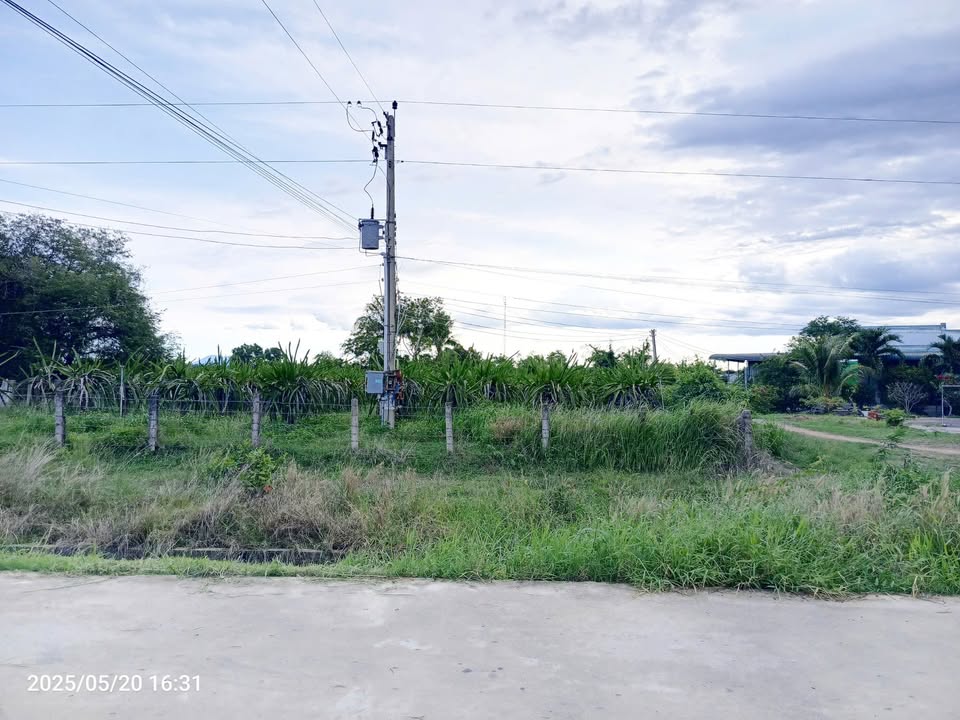 Bán Lô Đất Cây Trồng Lâu Năm Thôn Ninh Thuận 1200m² - Mặt Tiền Bê Tông Rộng Rãi!