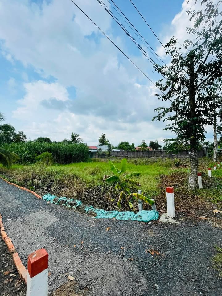 Đất nền mặt tiền Trường Long Tây 965m² giá 2.5 tỷ - Tiềm năng kinh doanh vượt trội!