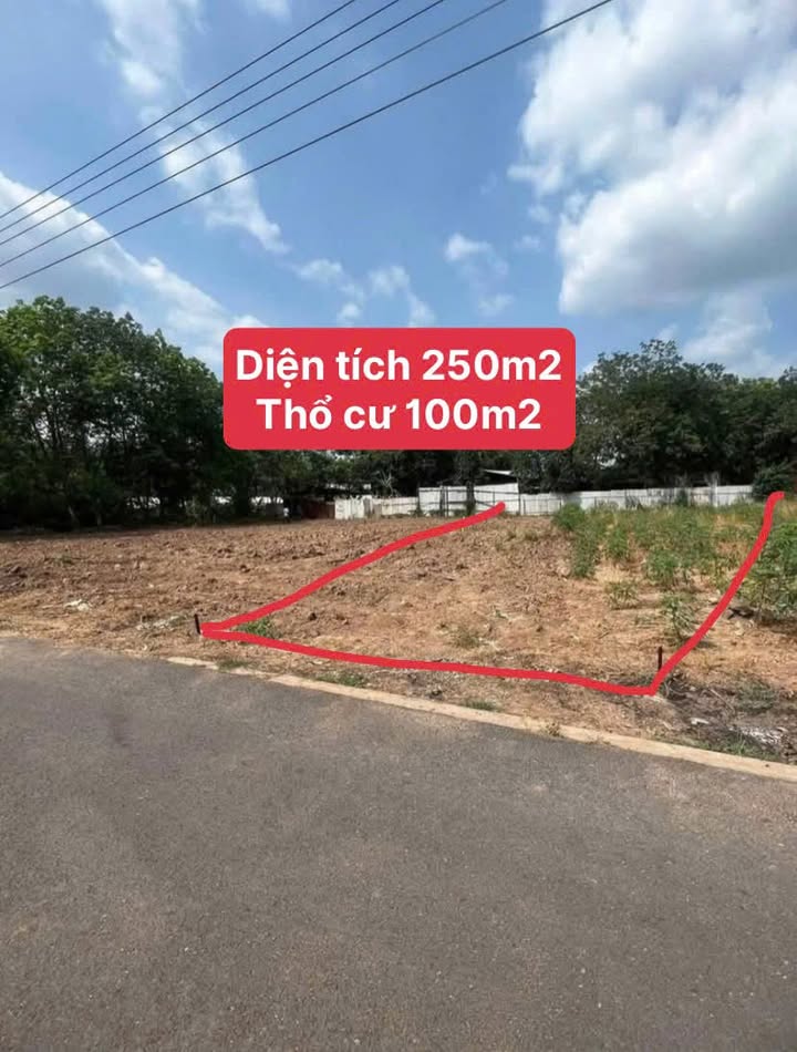 Đất thổ cư 250m² xã Phước Thành, Củ Chi giá chỉ 600 triệu - Cần bán gấp!