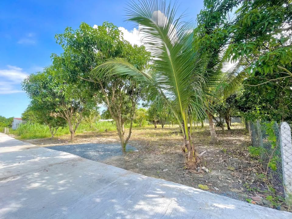 Đất nền Cam Hiệp Nam 620.4m² giá 3 tỷ - Đầu tư sinh lời nhanh!