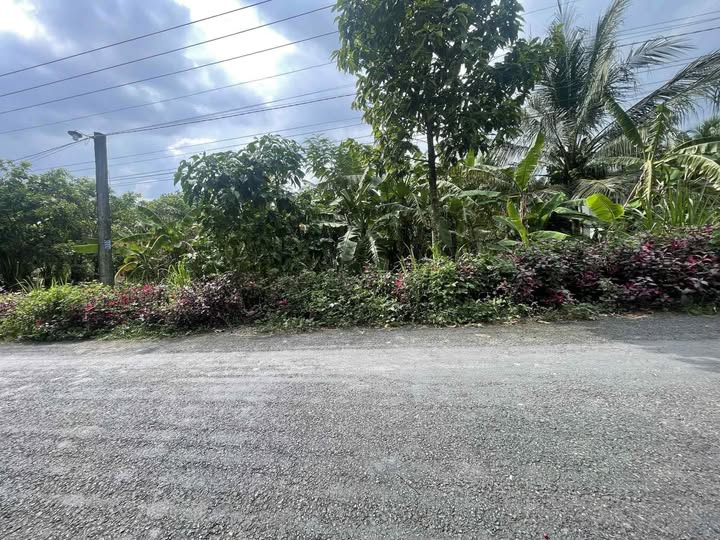 Đất mặt tiền đường Lộ Làng, xã Châu Hưng, 504m² giá 6.84 tỷ - Cơ hội đầu tư hấp dẫn!