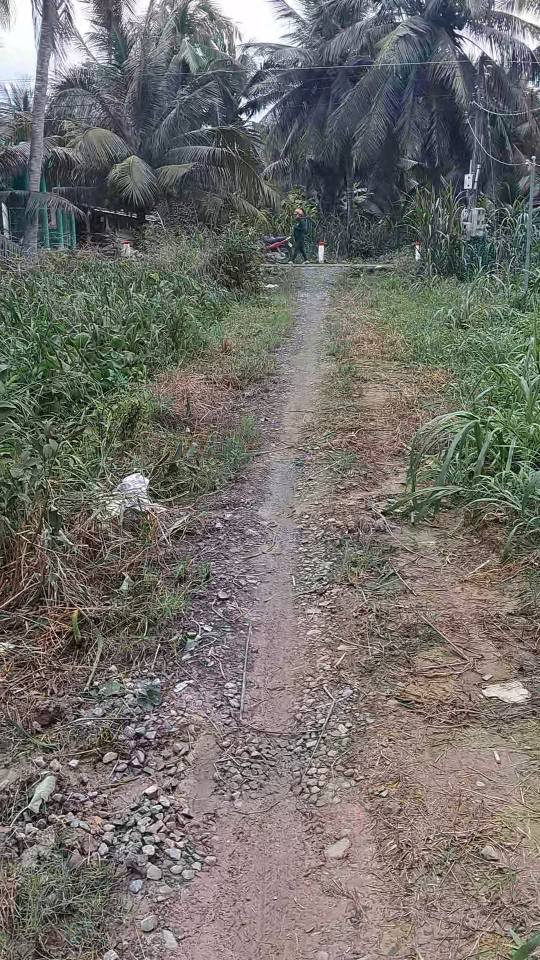 Đất thổ cư 135.45m² tại Hòa Lạc, Chợ Gạo - Chỉ 220 triệu, Sổ đỏ chính chủ!