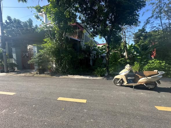 Đất nền Phúc Trì Ninh Bình 124m² giá 3 tỷ - Sổ đỏ chính chủ!