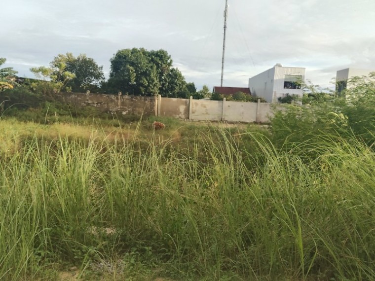 Đất mặt tiền Lạc Long Quân, Điện Nam Đông 1.040m² chỉ 1 tỷ - Cơ hội đầu tư tuyệt vời!