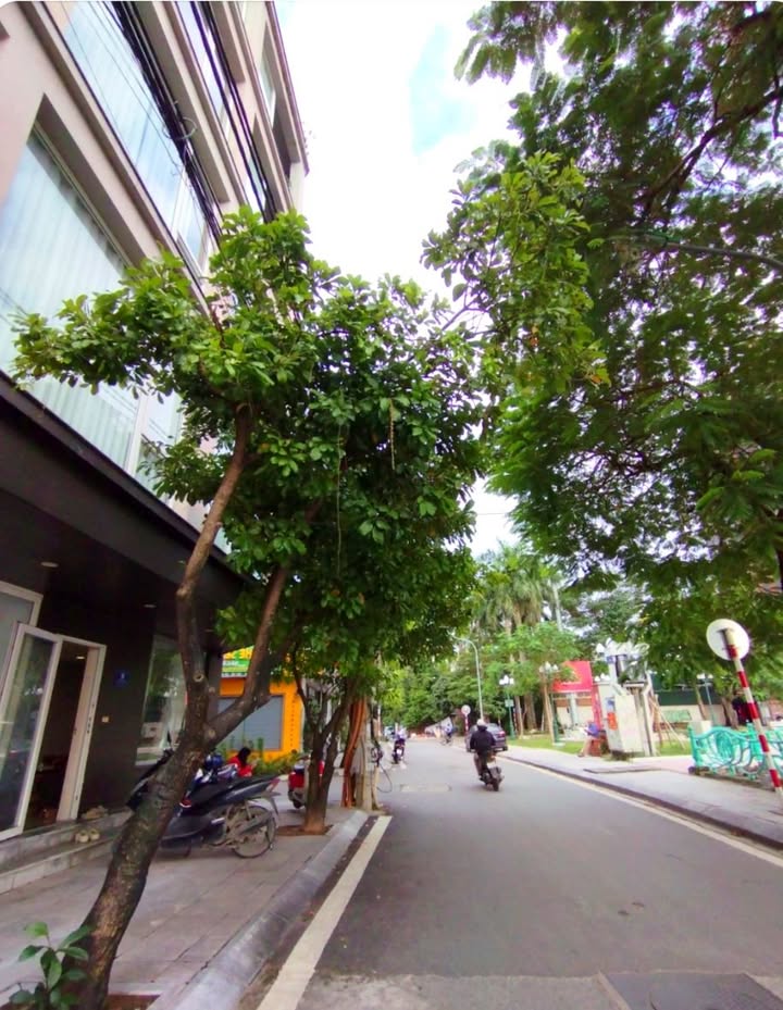 Nhà phố Quảng An, Tây Hồ 68m² giá 27.5 tỷ - Không gian sống lý tưởng!