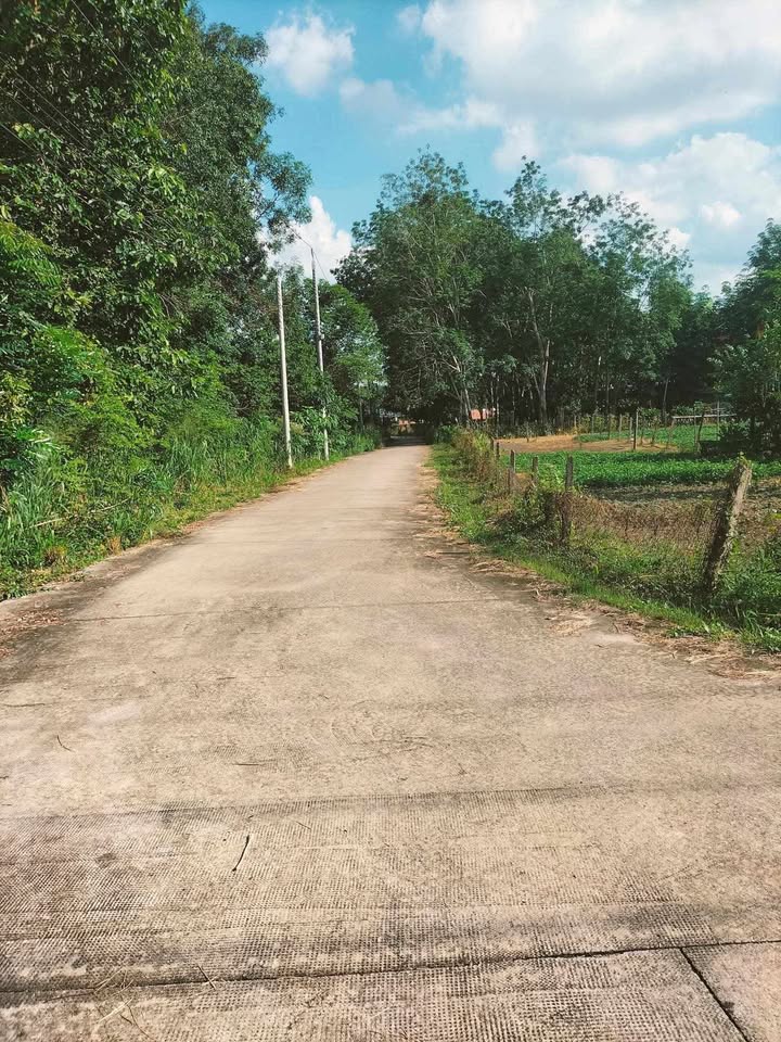 Đất nền Phước Vĩnh, Bình Dương 426m² giá 1.7 tỷ - Vị trí trung tâm thuận lợi!