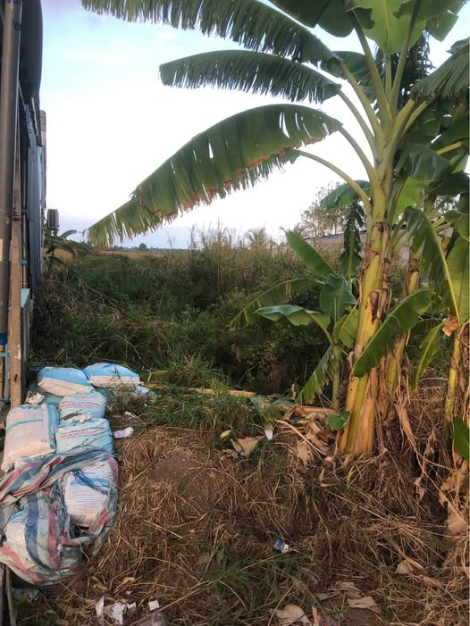 Bán đất ấp Tân Phong A, xã Hòa Thành 705m² giá 9.45 tỷ - Đầu tư sinh lời hiệu quả!