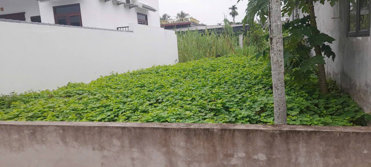 Đất Hùng Tiến Vĩnh Bảo 100m² giá 1.3 tỷ - Khu dân cư đông đúc