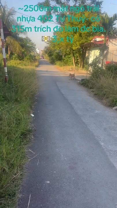 Đất nền Dương Kinh Hải Phòng 2500m² giá 3 tỷ - Sổ đỏ chính chủ