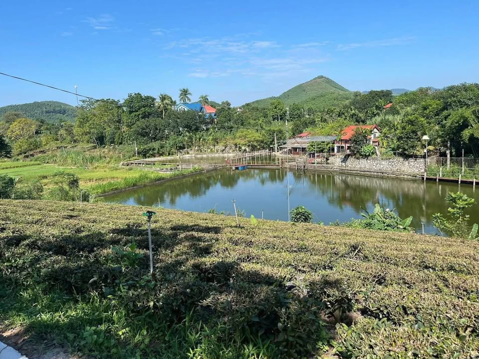 Đất thổ cư Phúc Xuân Thái Nguyên 1800m² giá 36 tỷ - Đường ô tô vào tận nơi!