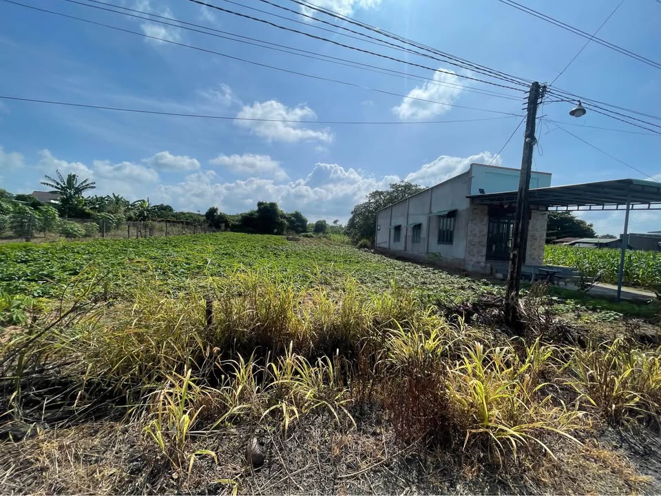 Đất nền Hòa Hội, Xuyên Mộc 534m² giá 1 tỷ - Pháp lý rõ ràng, bớt lộc cho khách chốt nhanh!