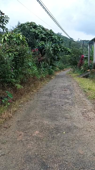 Đất nền Lộc Thành, Bảo Lâm 10.000m² giá 720 triệu - Sổ đỏ chính chủ, giao dịch nhanh!