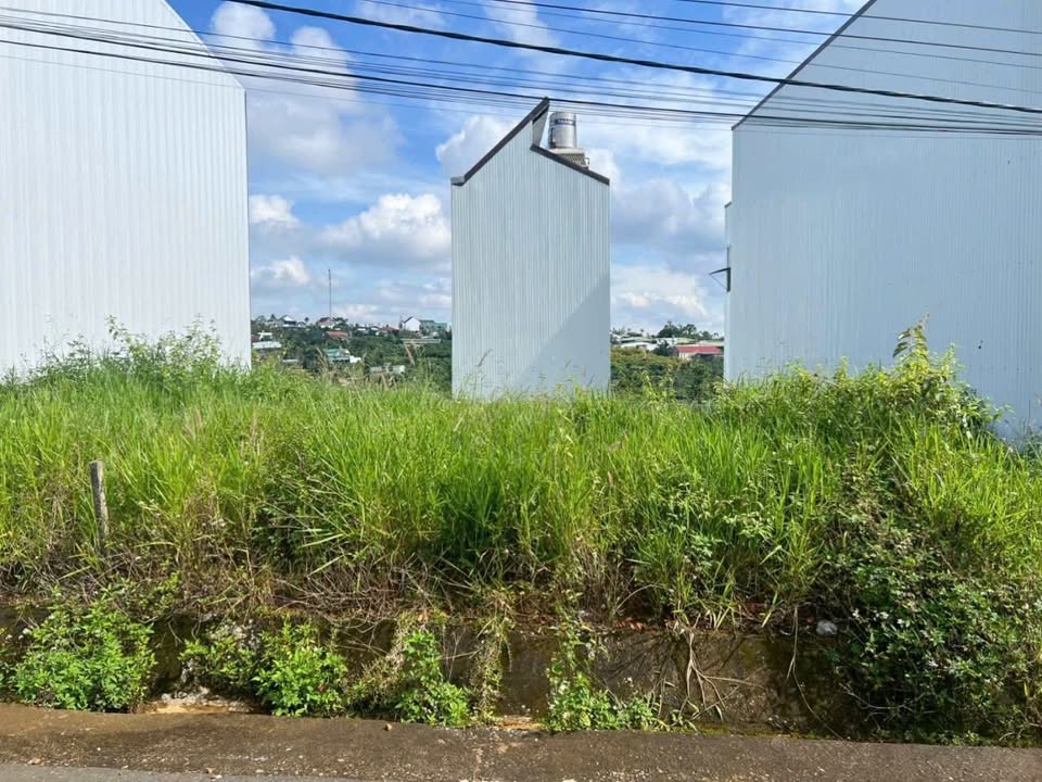 Đất thổ cư mặt tiền đường Mạc Đỉnh Chi, Bảo Lộc 100m² - Giá chỉ 1.65 tỷ!