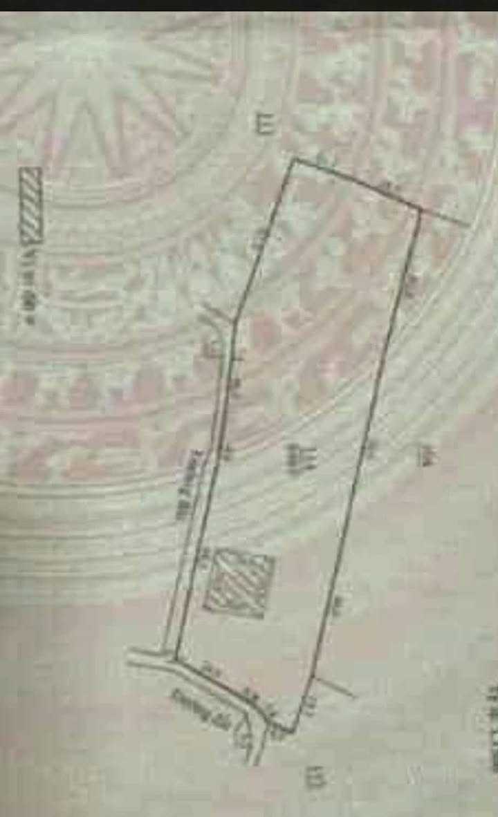 Đất nền Đinh Trang Hòa, Di Linh 800m² giá 3.3 tỷ - Sổ đỏ chính chủ, vị trí đẹp!