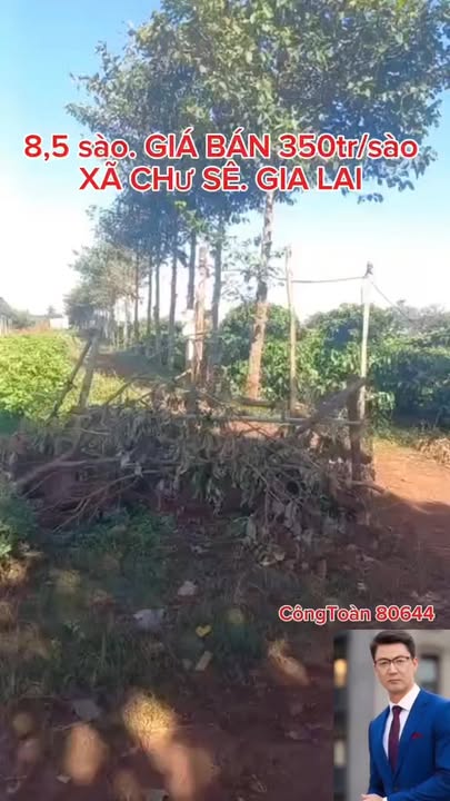 Đất 8,5 Sào tại xã Chư Sê, Gia Lai - Giá chỉ 1.225 tỷ!