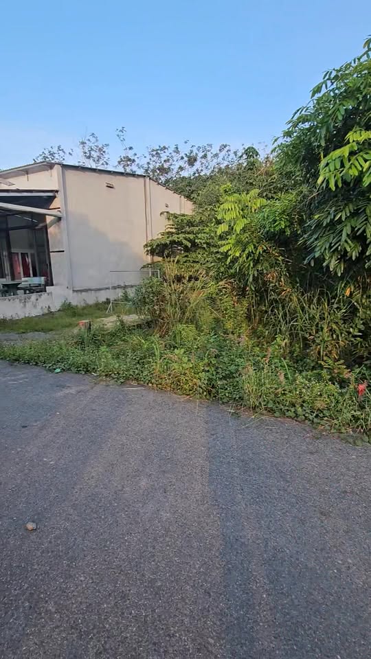 Đất nền Tân Thành, Bắc Tân Uyên 125m² giá chỉ 1 tỷ - Cơ hội đầu tư hiếm có!