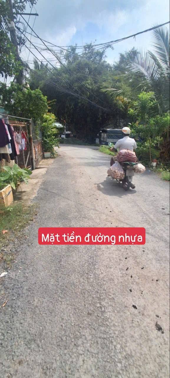 Đất vườn Hưng Long Bình Chánh 100m² giá 1.4 tỷ - Mặt tiền đường nhựa