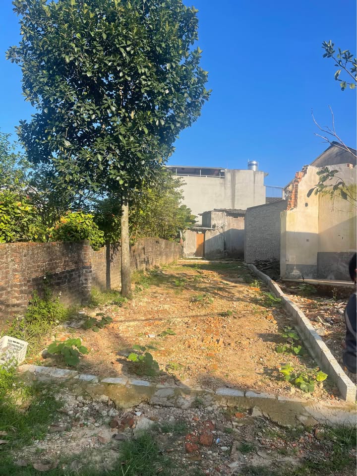 Đất Tân Lập 74m² - Đường ô tô tránh, giá thỏa thuận - Tiện ích đầy đủ!