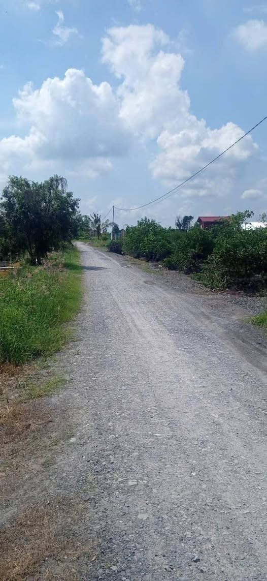 Đất vườn Thạnh Lợi, Bến Lức, Long An 1020m² giá 680 triệu - Đường xe ô tô vào tận nơi!