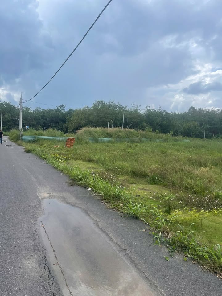 Đất thổ cư Chánh Phú Hòa Thủ Dầu Một 195m² giá 1.1 tỷ - Đường nhựa sạch đẹp!