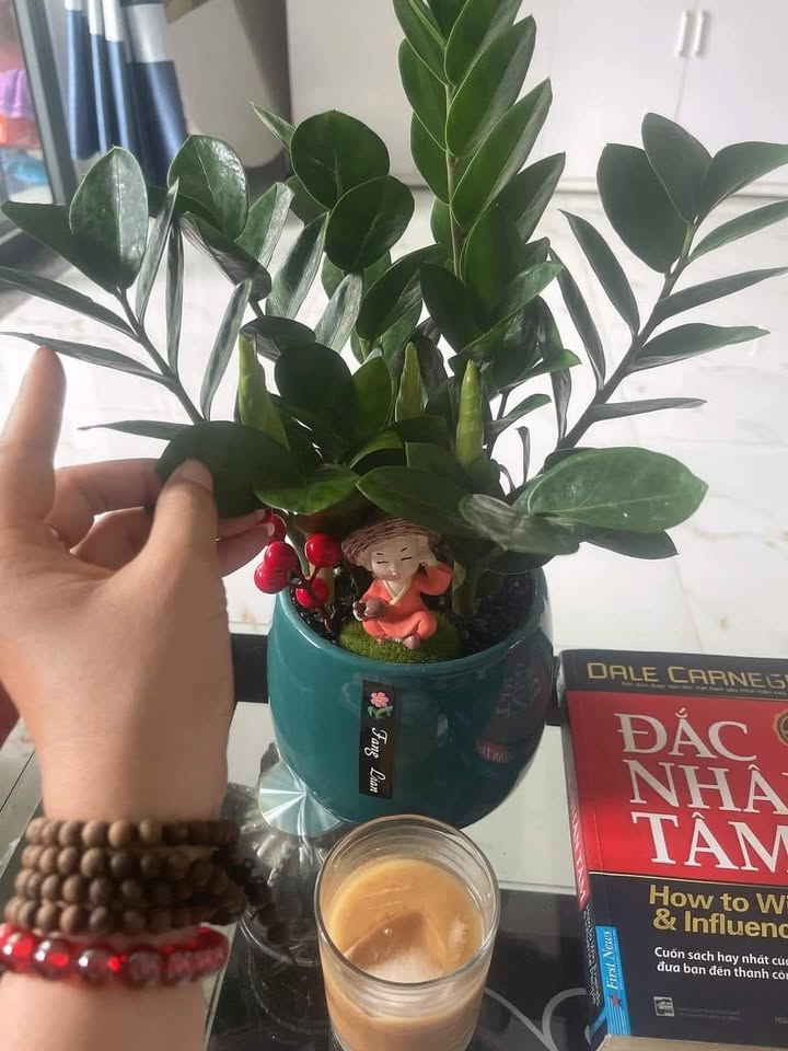 Đất liền kề mặt tiền Quốc Lộ 1A Mộ Đức 100m² giá 700 triệu - Cơ hội đầu tư hấp dẫn!