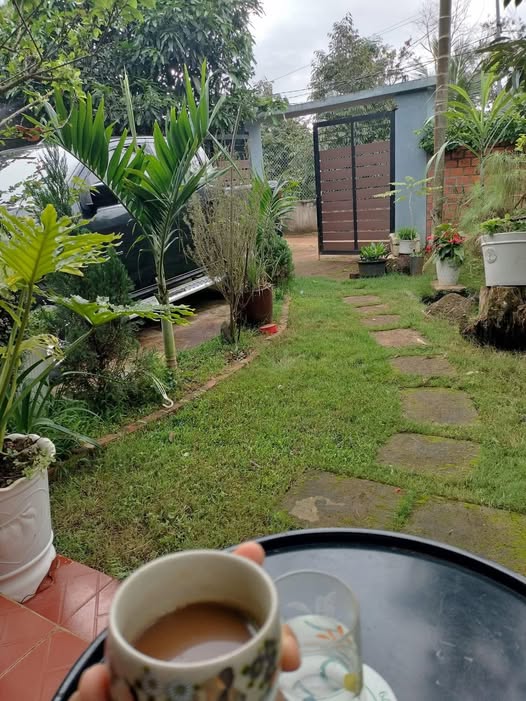 Đất nền Pơng Drang Krông Búk 1950m² - Giá chỉ 123 triệu - Sổ đỏ chính chủ!