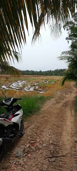 Đất mặt tiền đường Phong Thạnh 3600m² giá 750 triệu - Cơ hội đầu tư tuyệt vời!