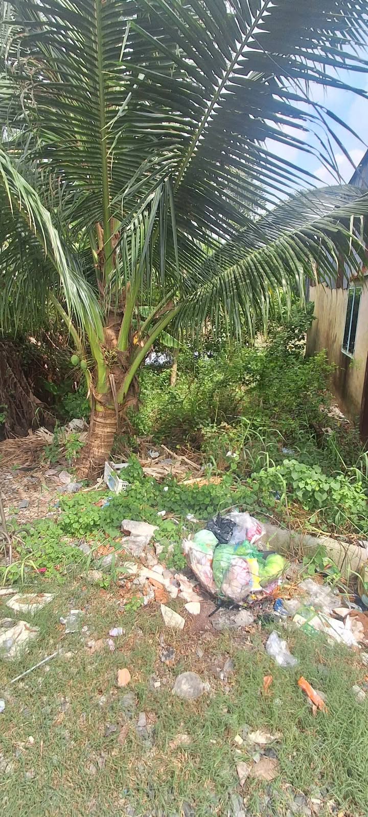 Đất vườn mặt tiền đường T6, xã Hưng Long, 100m² giá 1.35 tỷ - Pháp lý rõ ràng!