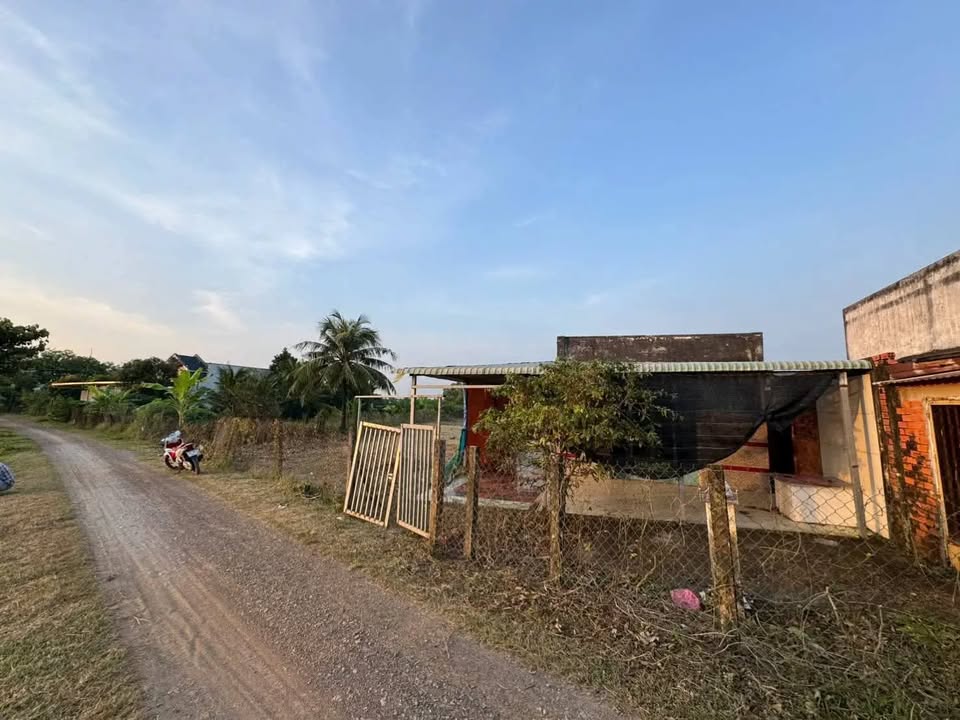 Nhà vườn 1200m² xã Thuận Thành, Cần Giuộc - Giá chỉ 1.95 tỷ!