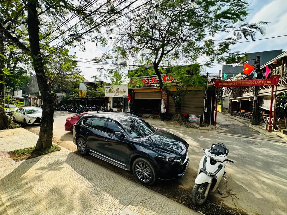 Đất 2 mặt tiền kiệt ô tô Phan Chu Trinh 114m² giá 3.85 tỷ - Gần trung tâm thành phố Huế!