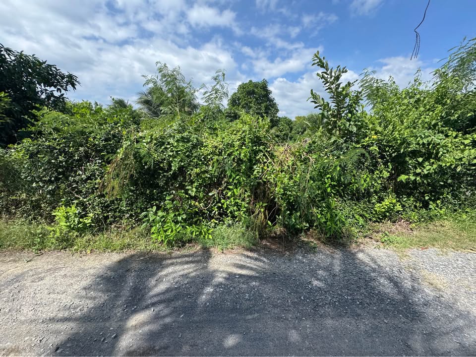 Đất nền thổ cư 60m² tại Thôn Ninh Ích, Khánh Hòa, 425.6m² chỉ 1.3 tỷ - Giá tốt không thể bỏ qua!