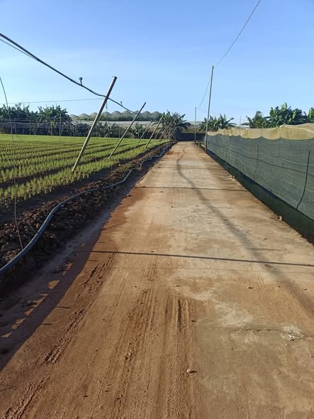 Đất 4,9 sào tại Nam Hiệp - Ka Đô - Lâm Đồng chỉ 4.9 tỷ - Đầu tư sinh lời ngay!