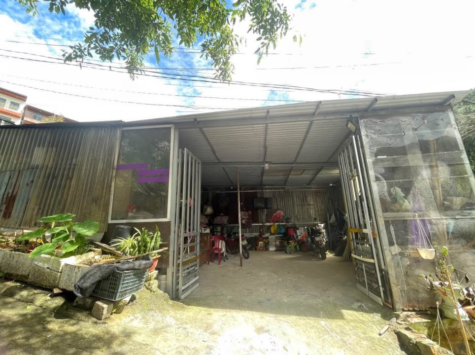 Nhà cấp 4 đường Ngô Thỳ Sỹ, Đà Lạt 128m² giá chỉ 1.35 tỷ - Gần chợ và trường học!