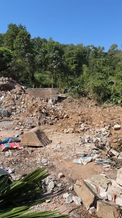 Đất nền 295m² xã Đông Cứu, Gia Bình, Bắc Ninh - Giá chỉ 1.4 tỷ VND!