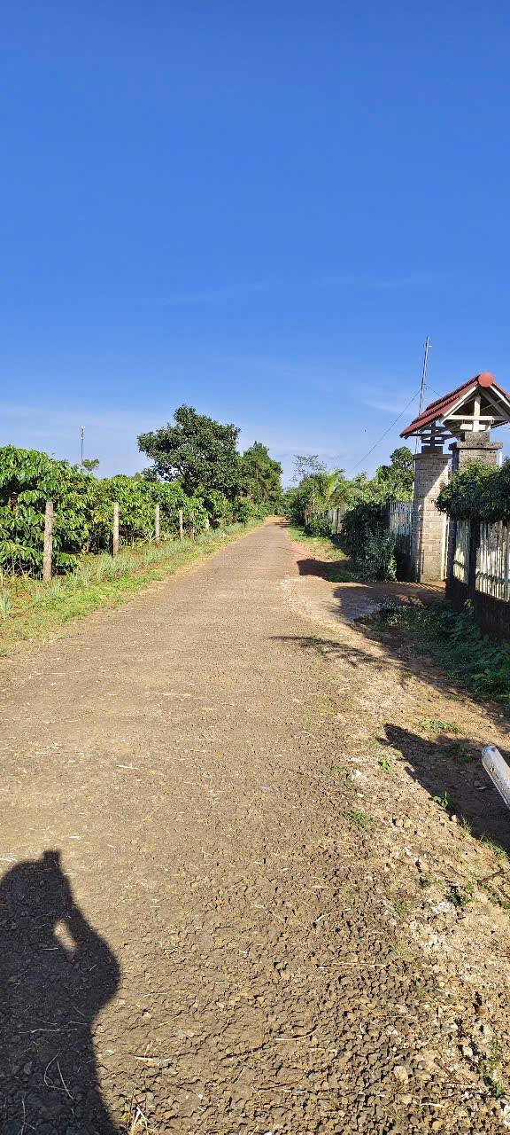 Đất nền Nguyễn Kiệm, Pleiku 147m² giá thỏa thuận - Cơ hội đầu tư hiếm có!