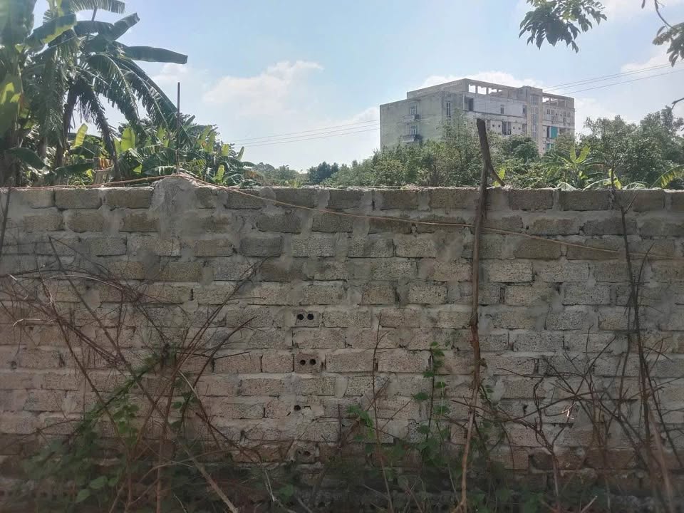 Đất nền mặt tiền 11m tại phường Đông Quang, TP Thanh Hóa - Chỉ 1.3 tỷ!