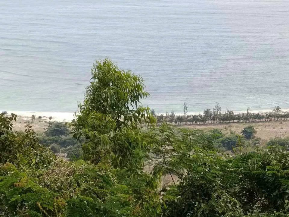 Đất nền Ninh Vân 19.000m² giá 3.23 tỷ - View biển thơ mộng chờ đón bạn!