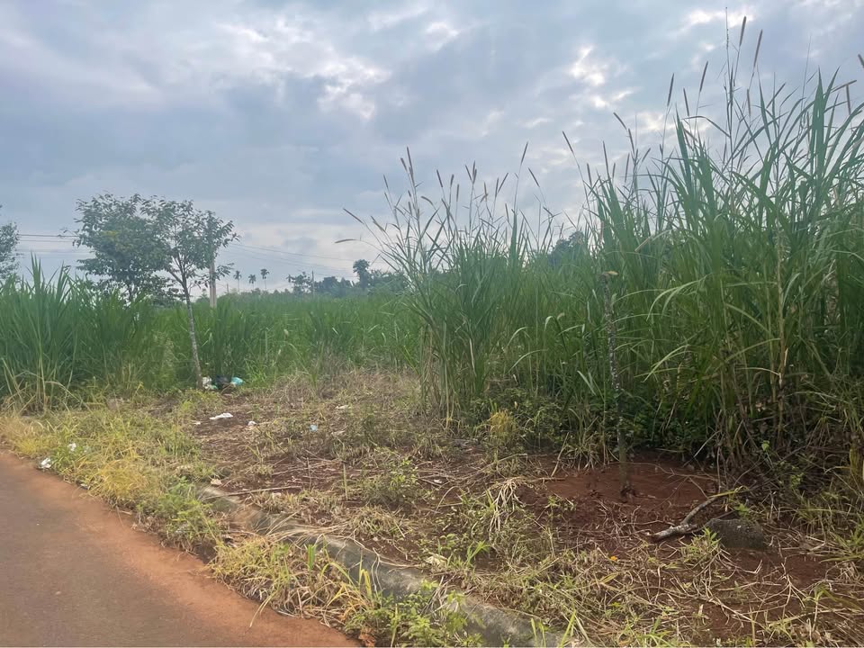 Đất nền Quảng Phú Cư M'gar 168m² giá 1.7 tỷ - Đầu tư sinh lời ngay!